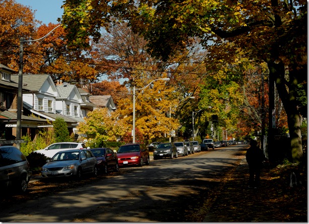 Haunted Halloween scenes on the streets of Toronto’s Bloor West Village