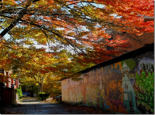 laneway off Huron St.