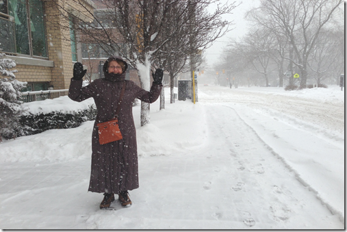 Toronto’s 2013 Feb. winter storm and the Great Storm of 1944