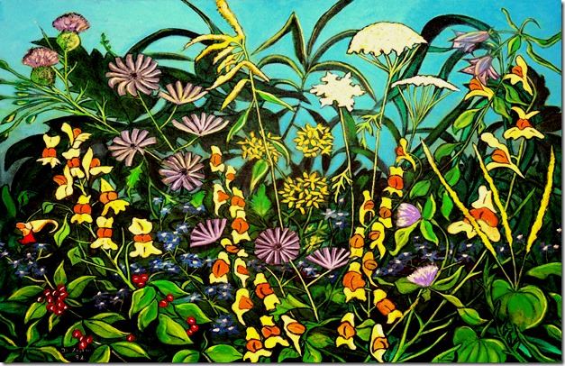 17.  18x24 - 1998 Humbewr Valley Wild Flowers 